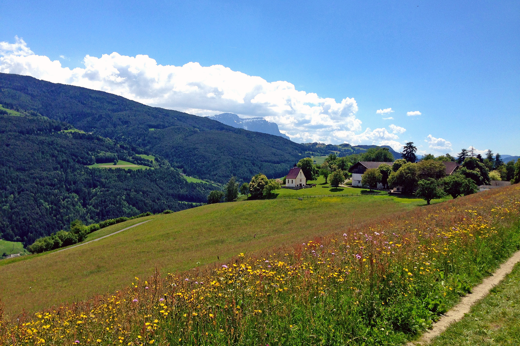 Törggelen in Südtirol: Kastanien, Kultur und Kulinarik - 5 Tipps für den Keschtnweg