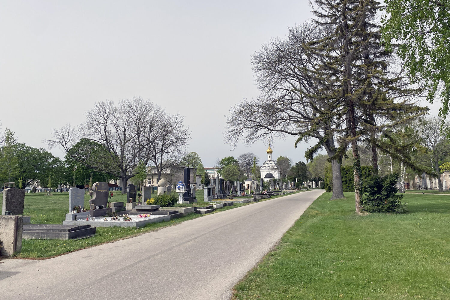 Zentralfriedhof Wien: Morbide Momente und skurrile Storys